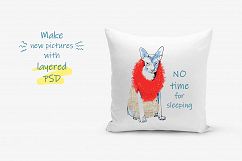 Deluxe Cats with Beautiful Mind - 6 cadrs Product Image 4