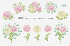 Watercolor ranunculus Product Image 3