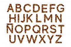 Autum Alphabet- SVG Bundle Product Image 5