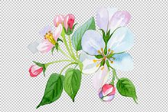 Apple blossom PNG watercolor set Product Image 1