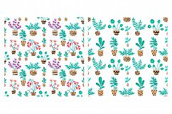 Home Plants and Decorative Flowers in Pots Product Image 3