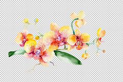 Bouquet yellow orchid flower PNG watercolor set Product Image 1