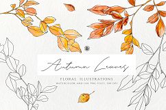 Autumn Leaves Product Image 1