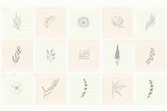 165 Hand Drawn Floral Elements, Frames. Product Image 10