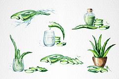 Aloe Vera Product Image 3