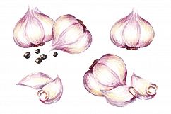 Garlic. Watercolor collection Product Image 3