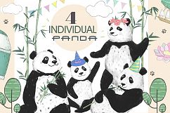 Pandas. Summer Adventure Product Image 2