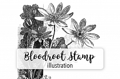 Bloodroot - Vintage Florals Product Image 1