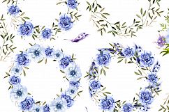 Hand Drawn Watercolor Anemones Product Image 4