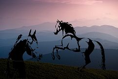 Hand drawn horse collection, vector Product Image 5