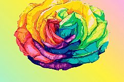 Hand drawn rainbow rose Product Image 1