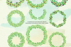 Watercolor Olive Branch Product Image 5