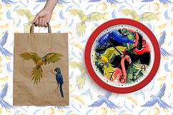 Watercolor cool parrot PNG bird set Product Image 6