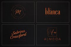 120 Elegant Premade Logo Pack Product Image 20