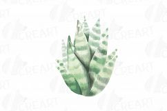 Wild leaves and flowers watercolor clip art pack Product Image 17