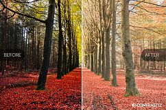 Haze Fade Lightroom Presets Product Image 2