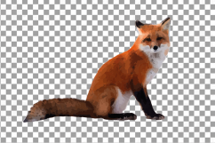 Red Fox Watercolor clip art, woodland watercolor fox, png Product Image 4
