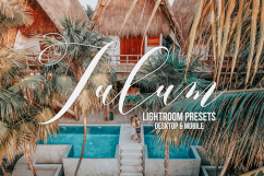 Tulum Presets - Lightroom Product Image 1