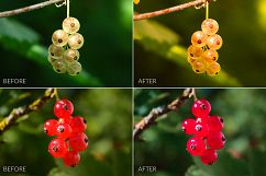 Berries Lr Presets Product Image 7