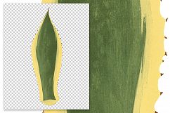 Leaves - Vintage Agave Americana Product Image 2