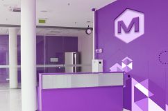 Office Wall Logo Mock Up Product Image 11