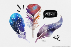Hand Illustrated Feathers Product Image 3