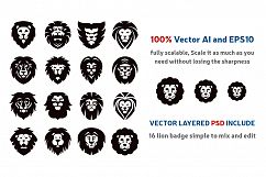 Lions Logo Badge Kit Product Image 2