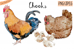 Watercolor Chooks | Watercolor Clip art| PNG/JPEG Product Image 1