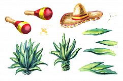 Tequila. Watercolor collection Product Image 3