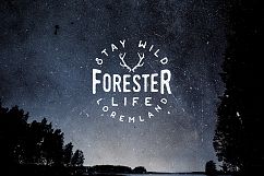 100 VINTAGE LOGO TEMPLATES Product Image 15