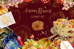 Thanksgiving fall harvest clipart, with cornucopia and turke Product Image 9