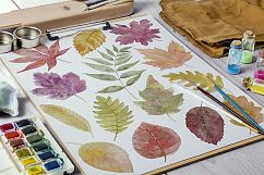 Autumn leaf fall. Watercolor. Product Image 7