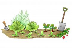 Rabbit in the Garden | Clip art illustration | JPEG/PNG Product Image 5