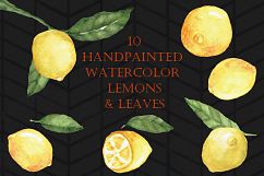 Handpainted Watercolor Lemons and Leaves Sampler Product Image 3
