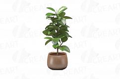 Leafy plants clip art collection, Watercolor plants in pot Product Image 12