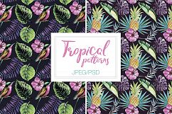 Watercolor Tropical Patterns Product Image 8