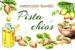 Pistachios bundle. Watercolor Product Image 1