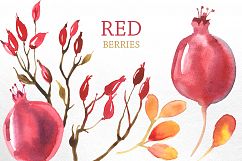 Watercolor branches and berries Product Image 3