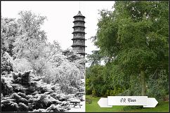 Infrared Monochrome Master Profiles LR7.3 ACR10.3 Product Image 11