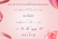Rafifi Script Product Image 6