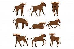 Wildebeest icons set, cartoon style Product Image 1