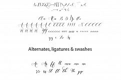 Strangelove Calligraphy Font - wedding font Product Image 10