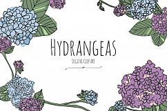 Hydrangeas - Digital Clip Art Product Image 1