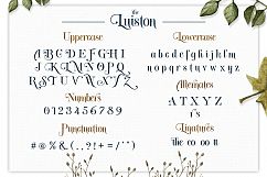 The Luiston San Serif Product Image 10