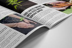 Newsletter Design v6 Product Image 4