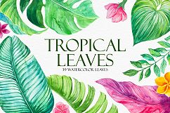 Tropical Leaves Product Image 1