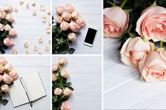 Gentle Roses Stock Photos Pack Product Image 2