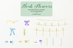 Watercolor herb flower clipart Product Image 10
