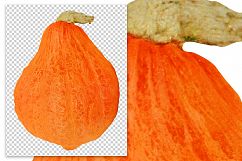 Boston Marrow Pumpkin Product Image 2