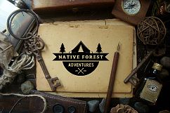 12 Vintage Adventure Badges Product Image 5